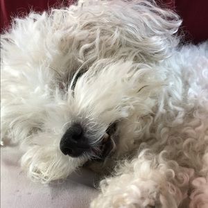 Meet your Posher, Deb